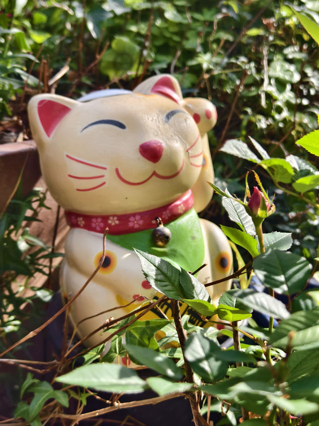 求戀愛的招財貓神社
