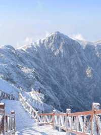 行程：五天四夜武功山三清山行山