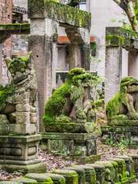Chongqing Hidden Cultural Gem