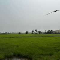Hoi An 4 Days Itinerary