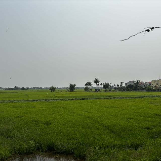 Hoi An 4 Days Itinerary