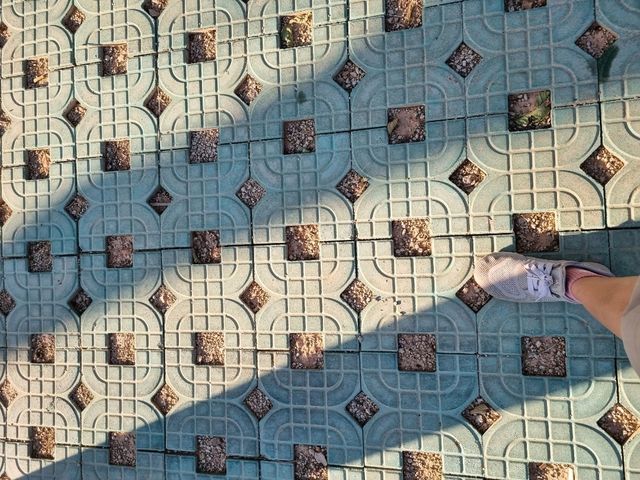 Xiamen in Autumn, lush and cool
