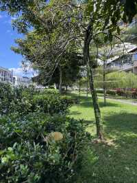 Spring Walk with Rotary Friendship Park