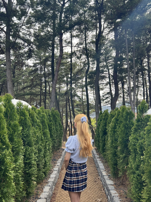 4월 봄 나들이 국내여행 추천지 ‘경주’