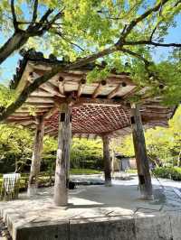 Spring Day Trip to Byodo-in Temple (Uji City)