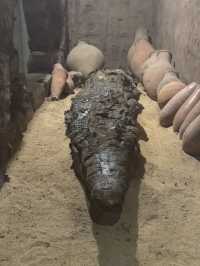 A museum dedicated to Crocodiles!