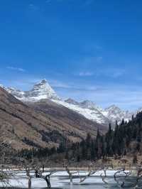 Winter Charm of Mount Siguniang: A First-Timer’s Guide to Shuangqiao Valley 
