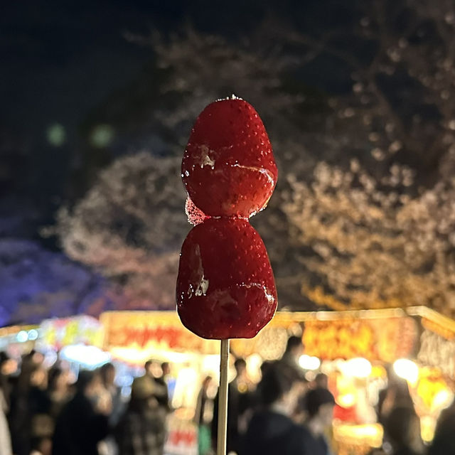 【名古屋観光】˗ˏˋ鶴舞公園の四季折々の魅力を堪能しよう🌸ˎˊ˗