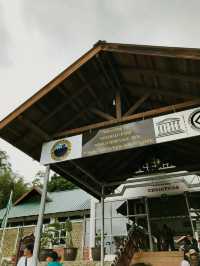 Soak, Splash & Stroll – A Nature Retreat at Poring Hot Spring!