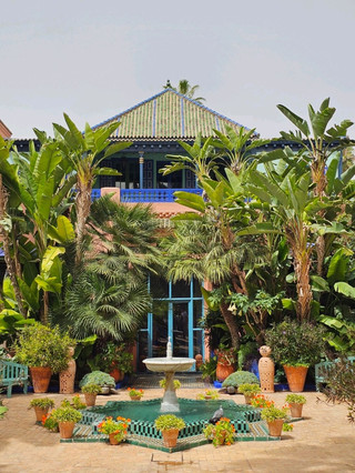🇲🇦 Majorelle Gardens, Marrakech, Morocco
