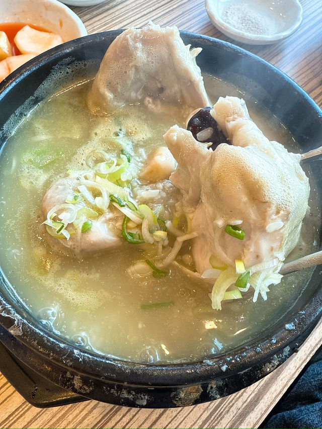 【済州島】珍しい✨済州名物緑茶の参鶏湯✨