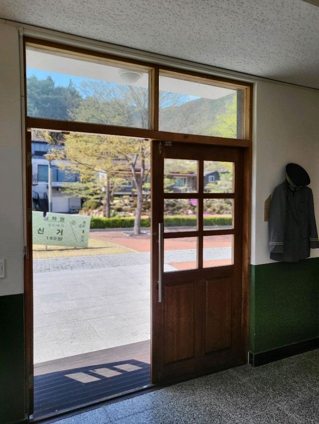 지금 가면 가장 예쁜 청도 벚꽃여행지