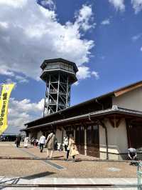 【京都】石清水八幡宮駅から行ける桜祭りは必見！