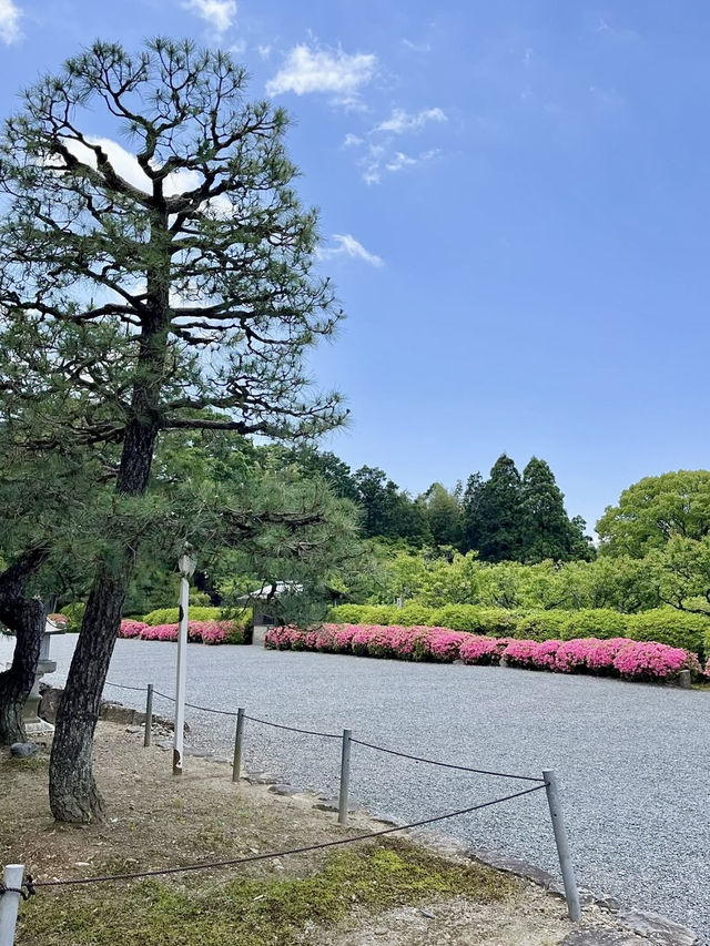 Spring Visit to Zuishin-in🌼