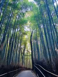 I think I left my heart In Japan. 