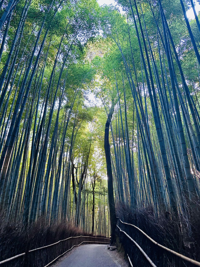 I think I left my heart In Japan. 