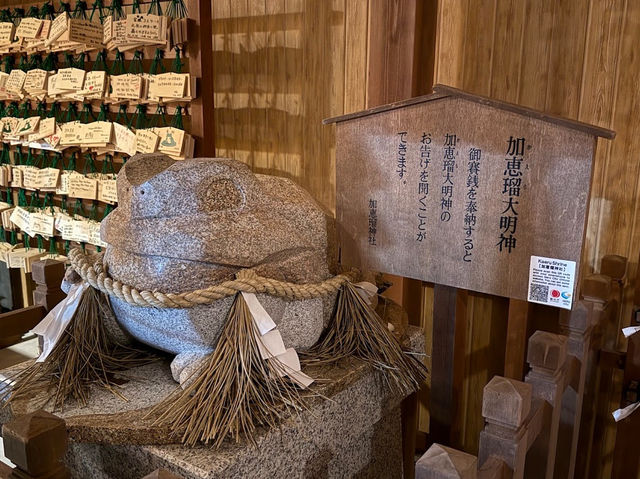 下呂溫泉老家 參拜青蛙大神🐸