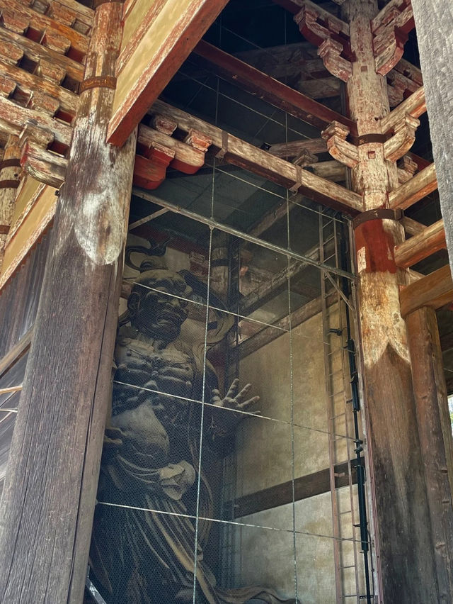 修学旅行の定番！奈良時代に造られた国宝✨奈良 東大寺