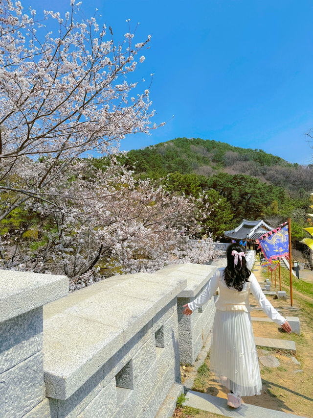 🌸พ็อตกดปูซานกับกำแพงโบราณ🌸