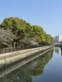 東京｜木場豐住公園一日遊 🌳