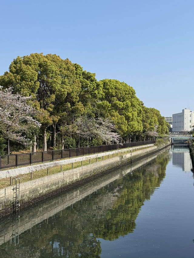 東京｜木場豐住公園一日遊 🌳