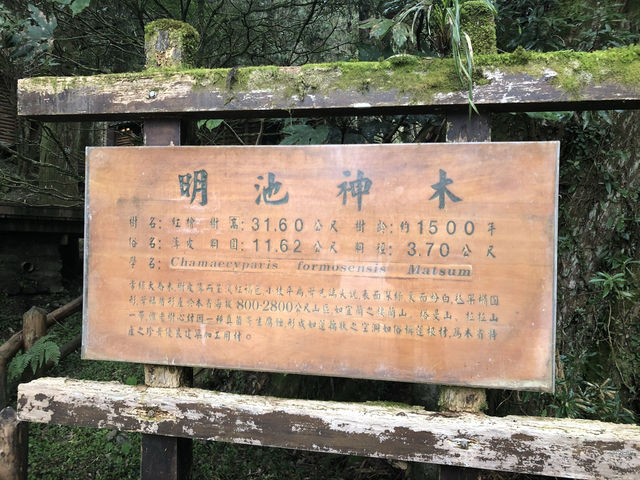 宜蘭秘境一日遊：明池森林遊樂區放空小旅行