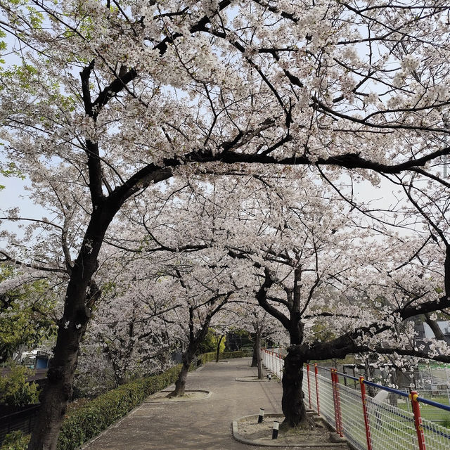 天王寺動物園（Tennoji Zoo） 
