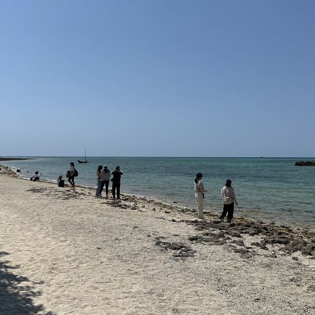 【石垣島】星の砂で有名！カイジ浜