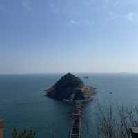 松島空中纜車×海景步道｜貓咪陪你散步的療癒系公園