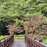 沼平公園 Zhaoping Park