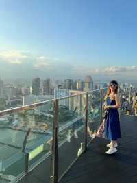 Touch the Sky: SkyPark Observation Deck
