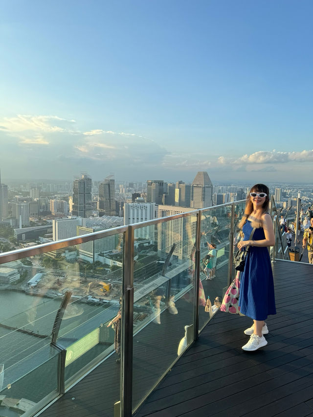 Touch the Sky: SkyPark Observation Deck