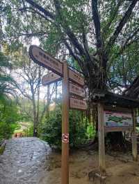 #北投公園-臺北市北投區