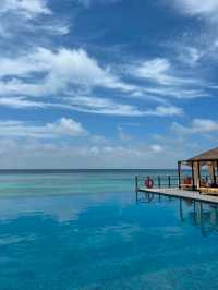 Ocean Dreams: Dive into the Maldives Experience