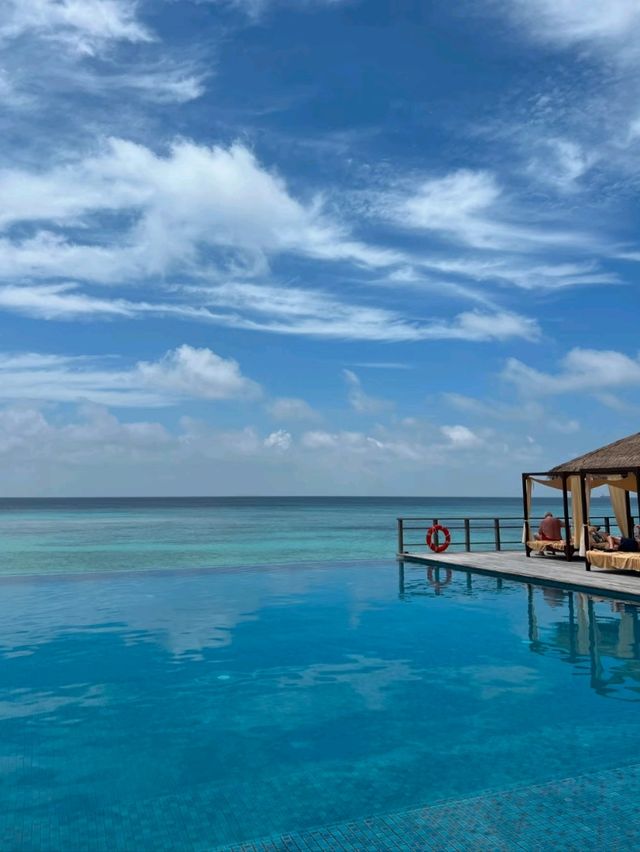 Ocean Dreams: Dive into the Maldives Experience