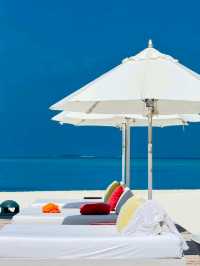 Ocean Dreams: Dive into the Maldives Experience