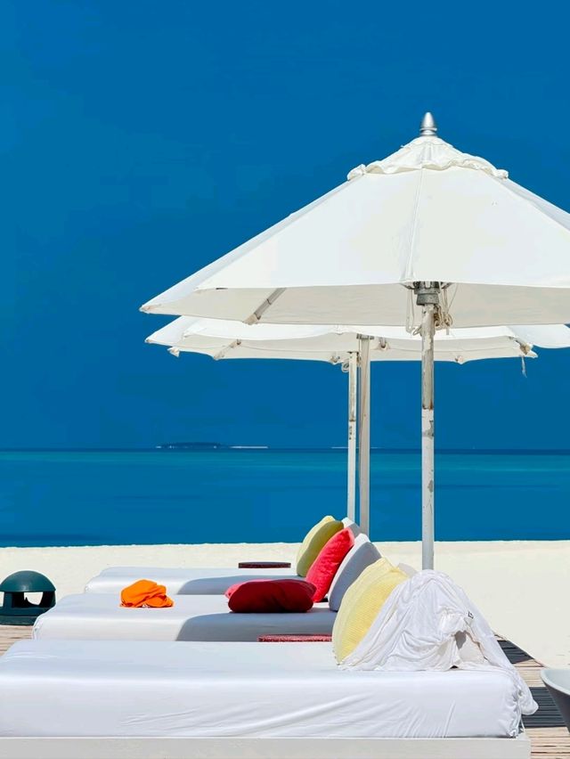Ocean Dreams: Dive into the Maldives Experience