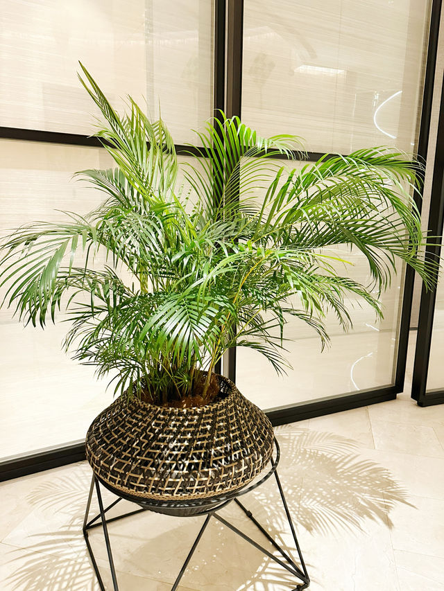 A Taste of Tradition with a Green Touch at Nipah, EQ Kuala Lumpur