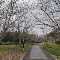 Gucun Park – Shanghai