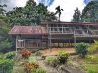 “Echoes of Tradition: Embrace the Longhouse Legacy at Sabah Tea Resort”