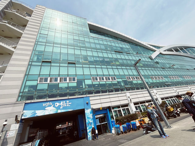 釜山🇰🇷扎嘎其市場🦞海港美食體驗