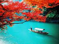 国内旅行攻略｜四季折々の絶景と文化を満喫する旅