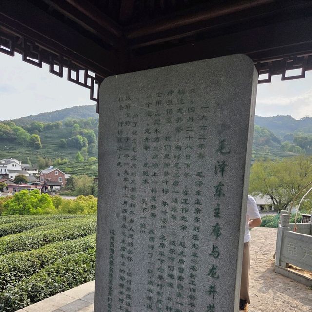 ไร่ชาหลงจิ้ง หางโจว 龙井村 / Longjing