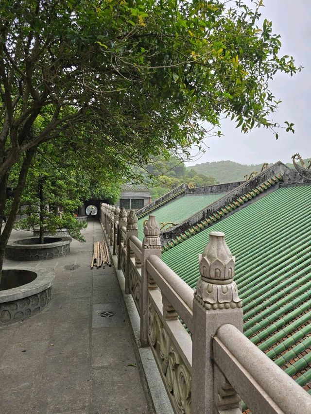 🌿 肇慶鼎湖山：綠色逃亡秘境！🌄