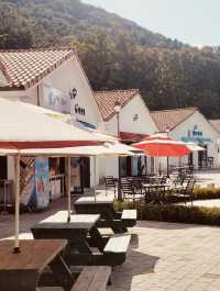 A Slice of the Mediterranean in Bloom: Strolling the Colorful Charm of Meta Provence