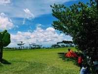 Under the Pines at Sudrigde Resort Davao