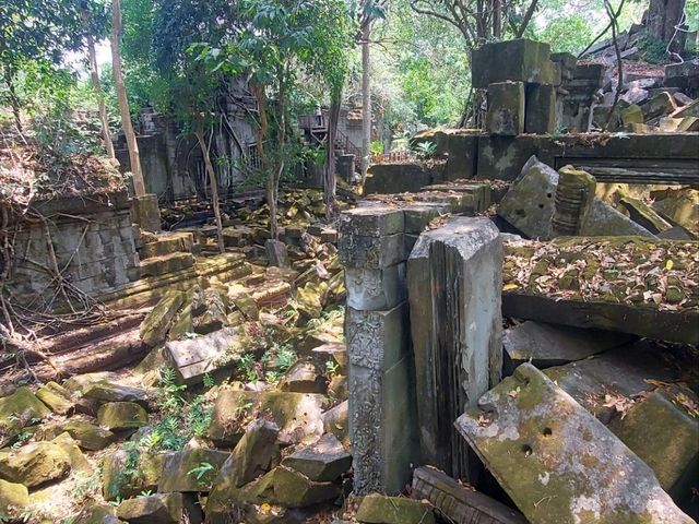 ラピュタの世界が現実に！ベンメリアで体感する神秘の遺跡旅