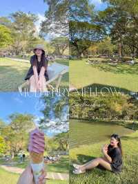 🌳 Mulberry Mellow คาเฟ่ที่มาเที่ยวกาญแล้วต้องแวะ!