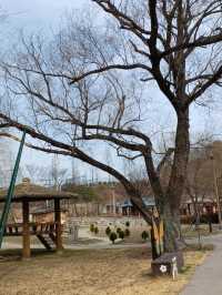 고대 저수지가 힐링 공원으로 변신했어요🌿