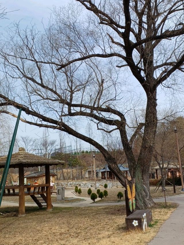 고대 저수지가 힐링 공원으로 변신했어요🌿